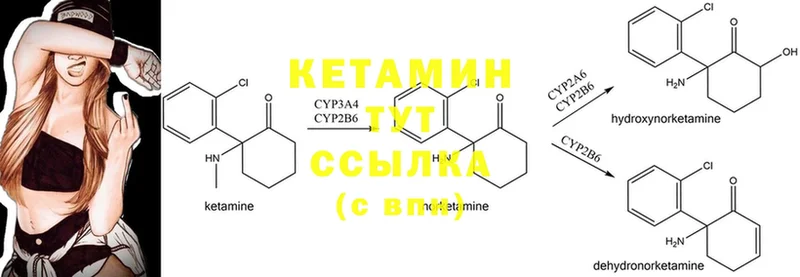 как найти закладки  Королёв  Кетамин ketamine 